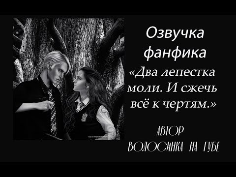 Видео: ОЗВУЧКА ФАНФИКА  ДВА ЛЕПЕСТКА МОЛИ. И СЖЕЧЬ ВСЁ К ЧЕРТЯМ |  ВОЛОСИНКА НА ГУБЕ | ПРОЛОГ| ДРАМИОНА 18+