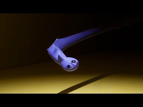 Видео: выглядит подозрительно, как думаете?
