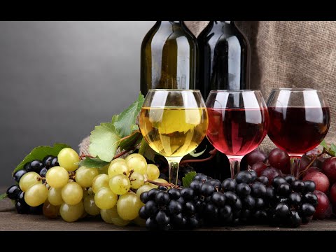 Видео: ПРАЗНИК ТРИФОН ЗАРЕЗАН в гр Брегово 14 02 2023г