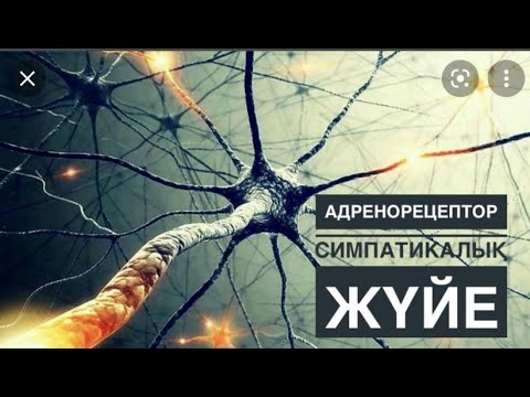 Видео: Адренорецепторы.Адреномиметик.Адреноблокатор.Симпатикалық жүйе.Фармакология.Вегетативті жүйе.