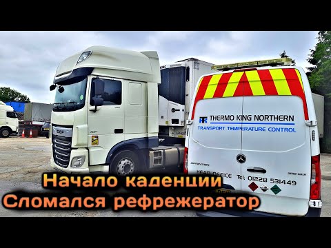 Видео: Новая каденция. Сломался реф. Повысили  ставку. #ГИРТЕКА2023