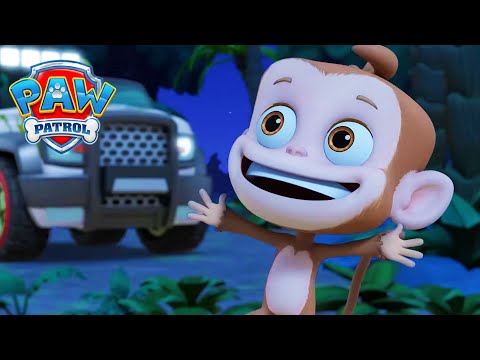 Видео: Спасение маленькой обезьянки! 🐵 - Щенячий патруль на русском – Мультфильмы для детей