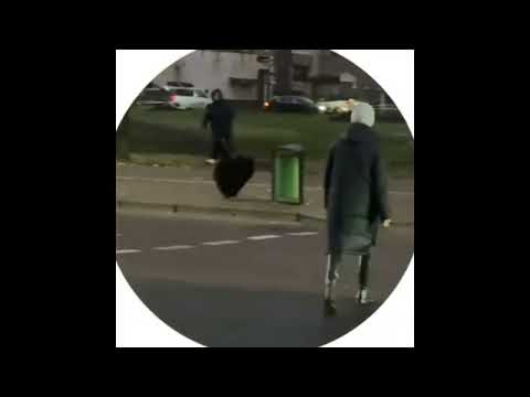 Видео: Ничего необычного, просто медвежонок дорогу переходил и даже на зелёный, по пешеходному переходу.