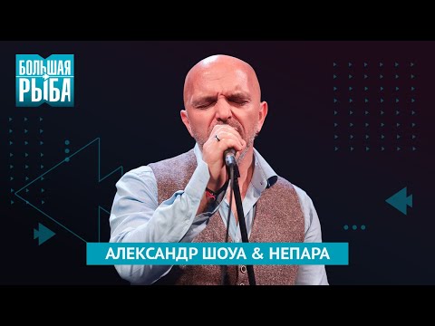 Видео: Александр Шоуа & НЕПАРА. Концерт | Живой звук