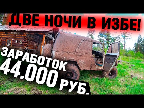 Видео: ЗАРАБОТОК В БОЛОТЕ 44.000РУБ! ДВЕ НОЧИ В ЛЕСНОЙ ИЗБЕ! МЕТАЛО КОП В ТАЙГЕ! ТОННЫ МЕТАЛЛА!