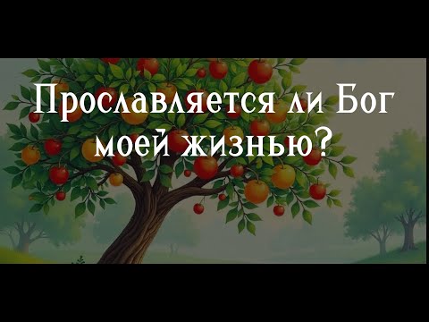 Видео: Прославляется ли Бог моей жизнью?