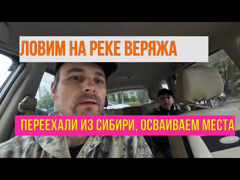 Видео: Рыбалка на одном из ручьёв реки Веряжа