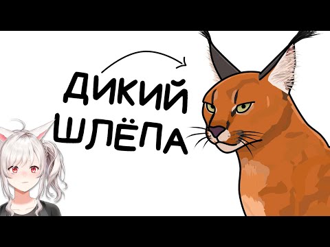 Видео: Ты - Каракал (И ЭТО ВСЯ ТВОЯ ЖИЗНЬ) | Реакция veifir на сетоникса ( Setonix )