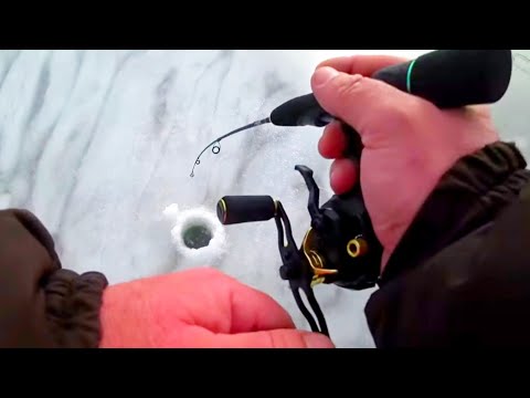 Видео: ЧУТЬ не Провалился / СУДАКИ прилипалы