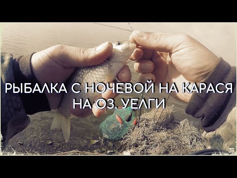 Видео: РЫБАЛКА С НОЧЕВКОЙ НА оз.УЕЛГИ В КОНЦЕ МАЯ. И ВСЕ ЖЕ ФИДЕР И ДОНКА РУЛЯТ!!!