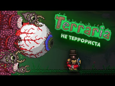 Видео: Терр🍀рия не терр💣риста