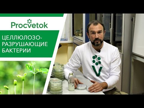 Видео: Забытый секрет плодородия почв и здоровых урожаев!