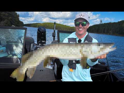 Видео: Мы поймали редкую рыбу!