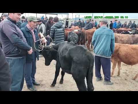 Видео: 1 ОКТЯБР 2025 ЖЫЛ КАРАОЗЕК МАЛ БАЗАР БАХАЛАРЫ