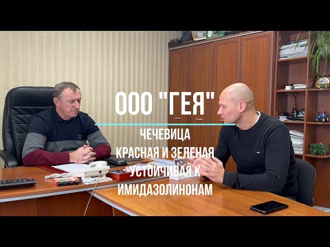 Видео: Чечевица красная и зеленая устойчивая к имидазолинонам