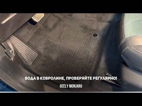 Видео: ВОДА В ПОЛАХ!ПРОВЕРЯЙТЕ КОВРОЛИН! , за этим точно нужно следить всегда! Джили Монжаро/ Geely Monjaro