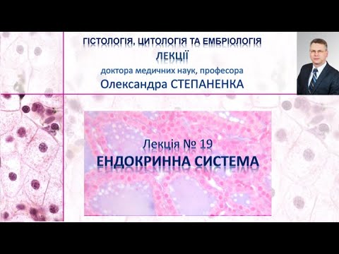 Видео: Гістологія. Лекція 19. Ендокринна система