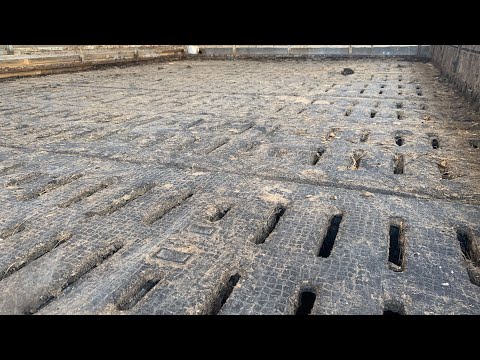 Видео: Ферма в Германии.Полы в коровнике.