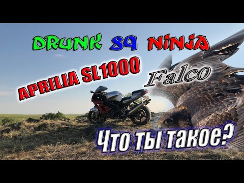 Видео: Aprilia SL1000 Falco VS  kawasaki ZX-9R , спортбайк за 300