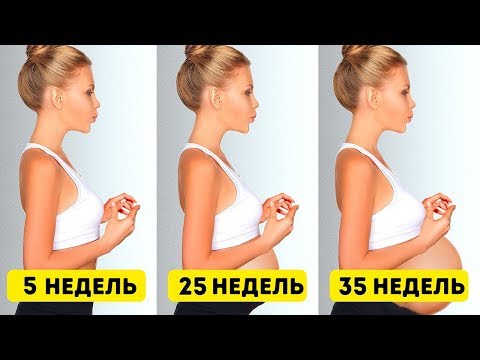 Видео: 33 СИТУАЦИИ, КОТОРЫЕ ПОЙМУТ ТОЛЬКО ЖЕНЩИНЫ