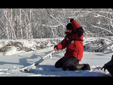 Видео: КОНИ НЕ ДАЮТ ОПУСКАТЬ!!!! Крупный окунь на балансир! Рыбалка на безмотылку! Ловля леща!