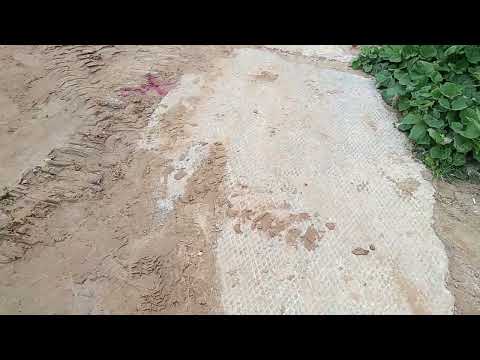 Видео: Два параллельных прокола на расстоянии 50см в условиях пассивных помех, г. Нижний Новгород