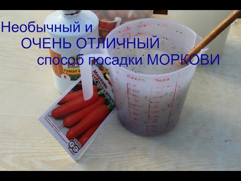 Видео: Хитрый способ для УРОЖАЙНОЙ МОРКОВИ.