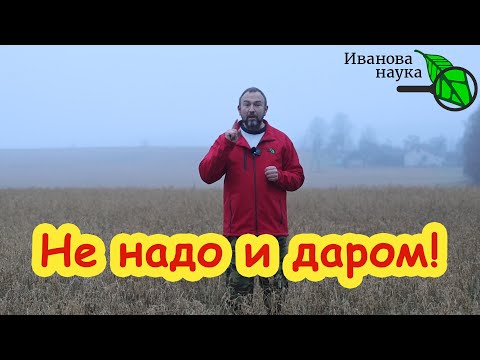 Видео: ЕСЛИ БЛОГЕР - Г..НО, то и СЕМЕНА - Г..НО? Давайте с этим разберемся по-взрослому.