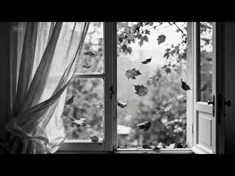 Видео: Осень за окном
