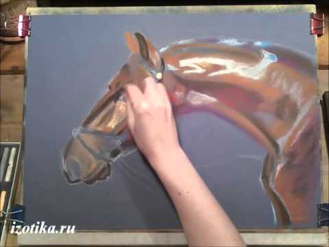 Видео: Портрет гнедой лошади. Пастель