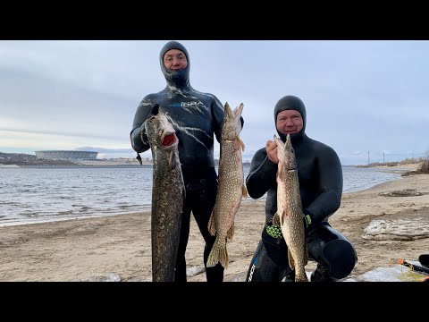 Видео: Ныряем с @RomanBoldov в Волгограде.