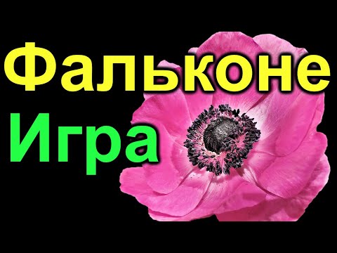 Видео: Фальконе. Игра такая