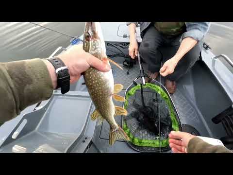 Видео: хищник на Можайском водохранилище. Swimmer 450 LZ. Приманки aliexpress. Keitech, relax