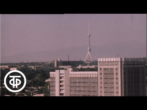 Видео: Я построю дом. Документальный фильм о поисках развития перспективных направлений в архитектуре