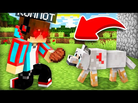 Видео: МЫ УСТРОИЛИ ДЕНЬ ДОБРЫХ ДЕЛ В МАЙНКРАФТ | Компот Minecraft
