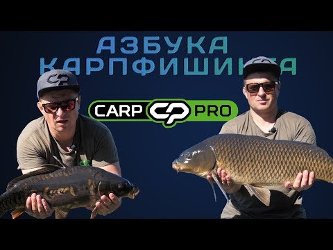 Видео: Азбука карпфишинга - ловля крупного карпа на озере! Охотники за трофеями!