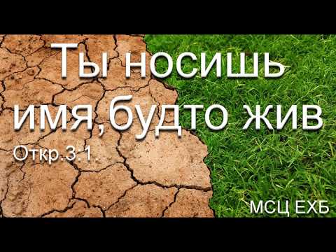 Видео: "Ты носишь имя, будто жив ". Д. Заец. МСЦ ЕХБ.