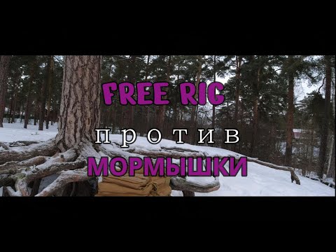 Видео: #485 | Зимняя микроречка | FREE RIG против МОРМЫШКИ |