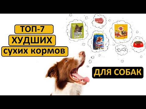 Видео: ТОП-7 худших сухих кормов для собак | Совет ветеринара