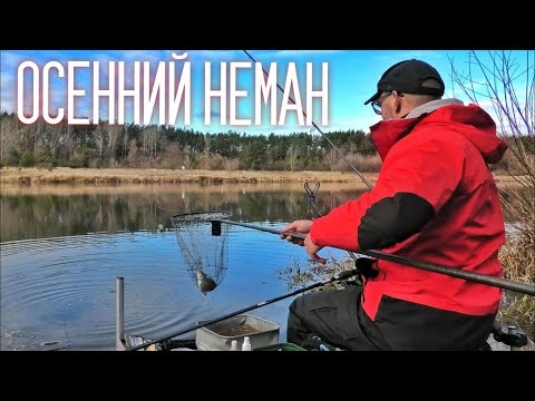 Видео: Ловля Фидером на Реке! Снасти, оснастки, кормушки, крючки, реализация поклевок...Часть 1.