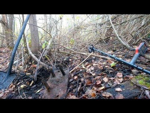 Видео: Труднодоступные места залог успеха! Болота высохли. Копаю чермет
