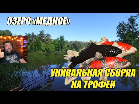 Видео: УНИКАЛЬНАЯ СБОРКА НА ТРОФЕИ и ФАРМ / ОЗЕРО МЕДНОЕ / РУССКАЯ РЫБАЛКА 4