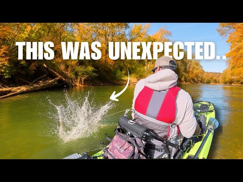 Видео: На Ланье найден большой окунь! Набираем очки в чемпионате