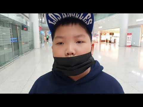Видео: vlog 🇰🇷/🇺🇿 Летим✈️ в Узбекистан, город Ташкент ☀️