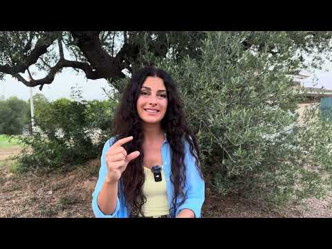 Видео: ￼Как я победила негативные мысли и панические атаки.