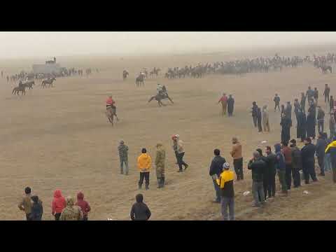 Видео: бузкаши фархор 15.12.2024