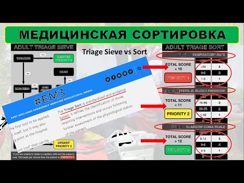 Видео: В поисках идеальной сортировки: CareFlight Triage, SALT, Sieve & Sort, Sacco triage.