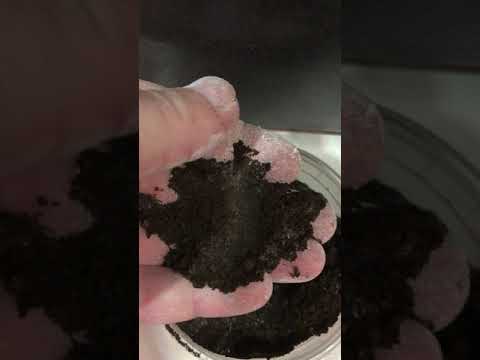 Видео: Корм для червя, составляющие пропорции и эксперименты с кормом.