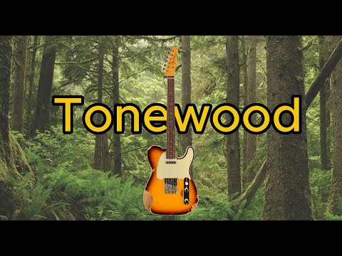 Видео: Влияние Дерева на Звук Электрогитары