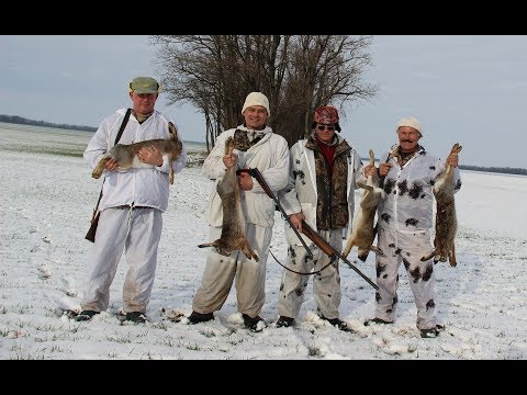 Видео: Охота на зайца. Закрытие. Hunting for hares